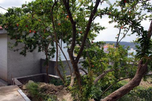 Apartment Kampor 5018c