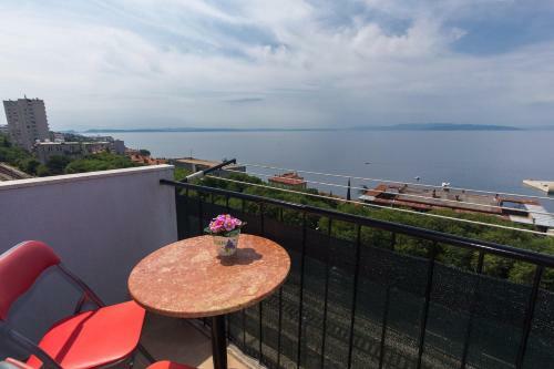 Apartment Babic