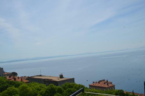 Apartment Babic