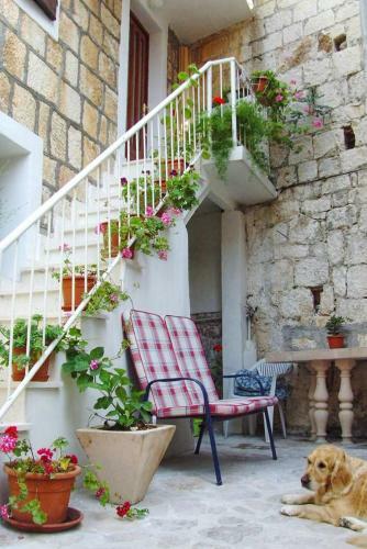 Seaside Holiday House Rogoznica - 5258