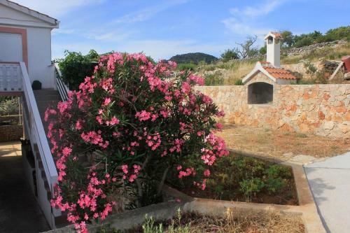 Apartments With A Parking Space Sali (dugi Otok) - 908