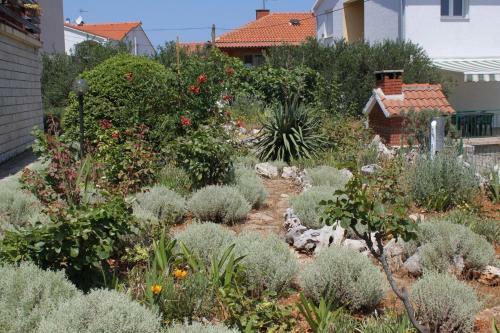 Apartments With A Parking Space Sali (dugi Otok) - 872