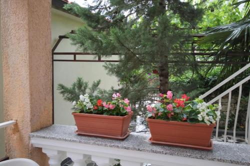 Apartments With A Parking Space Selce (crikvenica) - 5518
