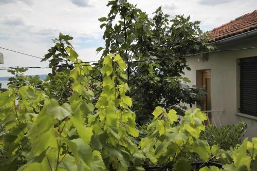 Apartments With A Parking Space Selce (crikvenica) - 5518