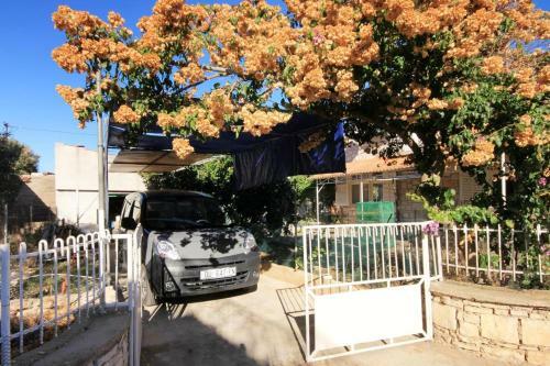 Seaside Holiday House Brna (korcula) - 9235