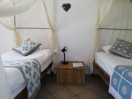 Albergue Fawlty Towers Backpackers