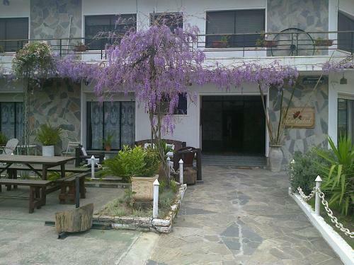 Hotel Oriental