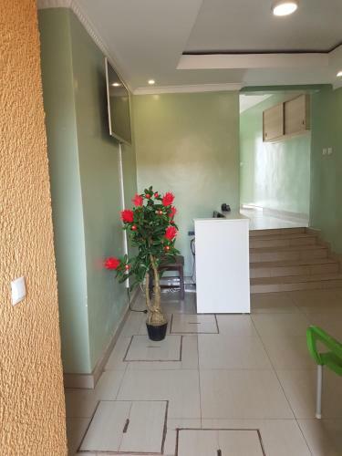 Hostal Amicizia Guest House