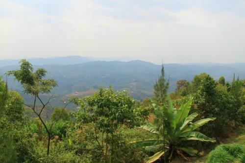 Lodge Nyungwe Top View Hill Hotel