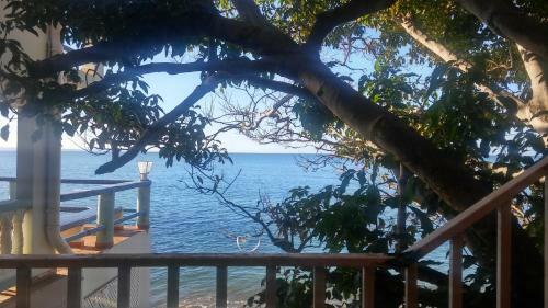 Blue Whales Beach Apartments