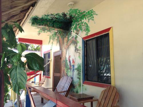 Hostal De Real Macaw