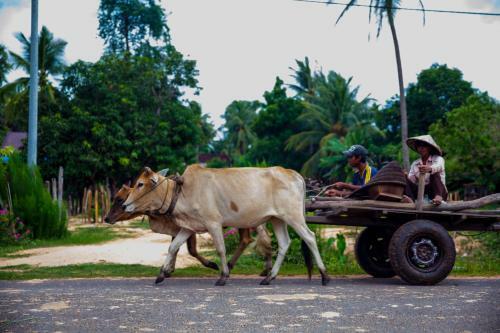 Prithy & Mutta (community Homestay Chansor 4)