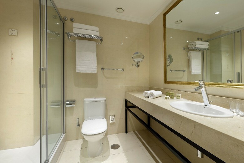 Hotel Eurostars Casa de La L�rica