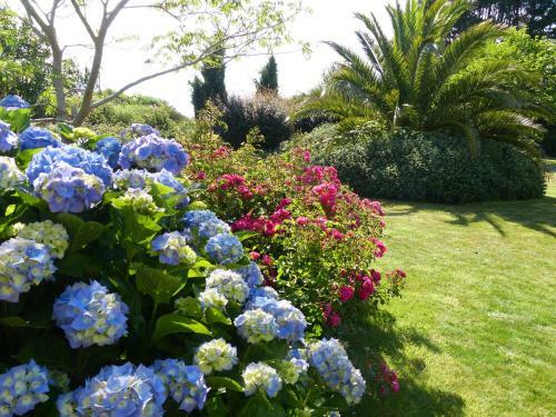 Bed & Breakfast Villa Kern�han