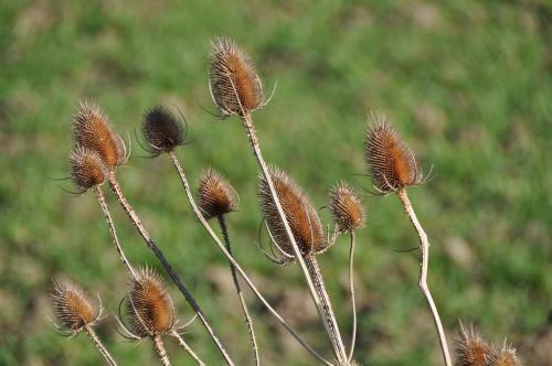 B&B 't Verloren Schaap