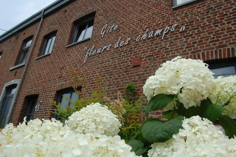 Apartamento Appartement Fleurs Des Champs
