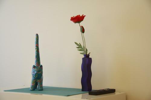 Alegr�a B&B