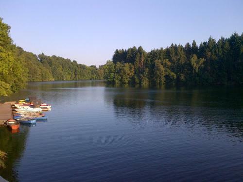 Spacious Holiday Home In Robertville Near Forest
