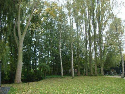 B&B Maison Kerkhove