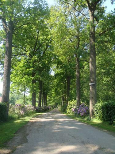 Hotel Bossenstein Golf & Polo Club