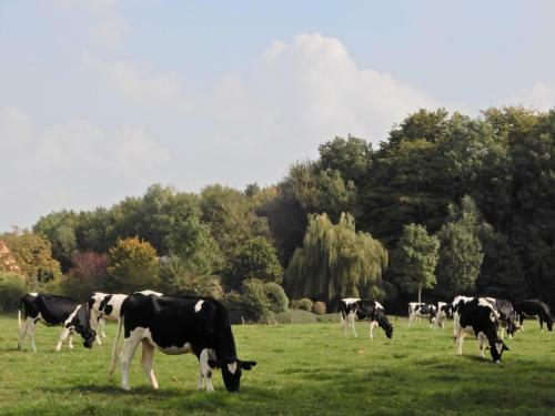 Bed & Breakfast Predikherenhof