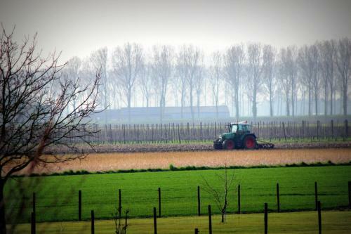 Cambiare Hoeve