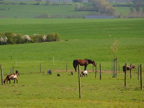 Charming Holiday Home In Ohey Near Forest