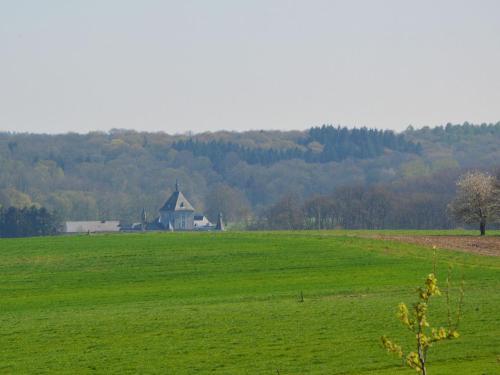Charming Holiday Home In Ohey Near Forest