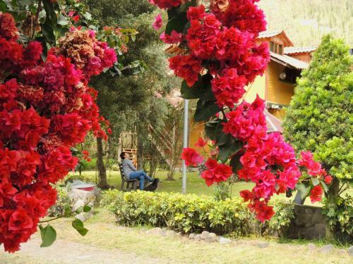 Hotel La Casta