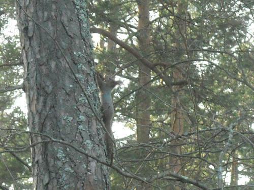 V�su G�stewohnung - Lahemaa Nationalpark