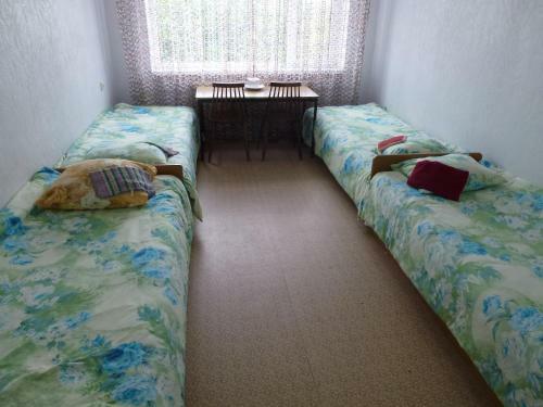 Hostel Nele