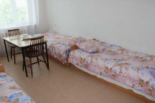 Hostel Nele
