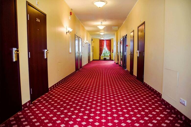 Hotel Metsis