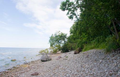 Camping M�nnisalu