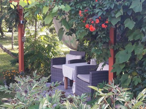 Apartamento Omakoda