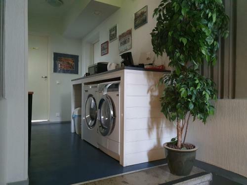Freedom65 Hostel And Caravan