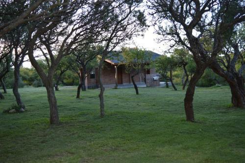 Complejo Arlington Village