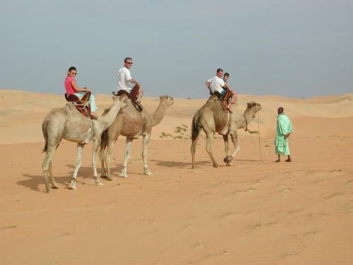 Camp Du D�sert ? Esprit D?afrique