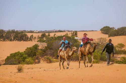 Camp Du D�sert ? Esprit D?afrique