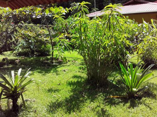 Bed & Breakfast Villa Sevilla
