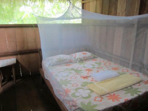 Hostal Lodge Jungle Wolf Expeditions