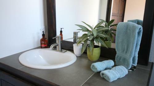 Bed & Breakfast The Guest Suites At Manana Madera