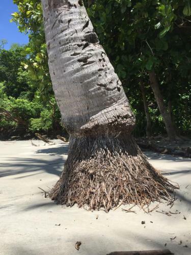 Villa Vista Para�so