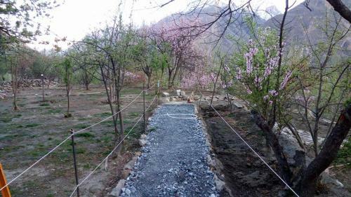 Lodge Grapes Garden