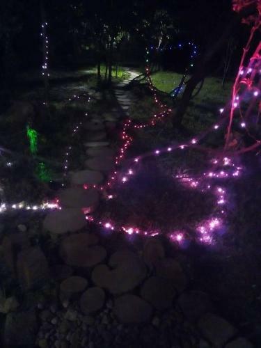 Lodge Grapes Garden