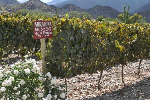 Hostal Miraluna Caba�as