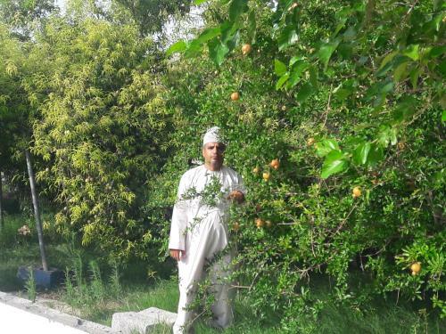 Hostal Abu Omair Jabal Shams House