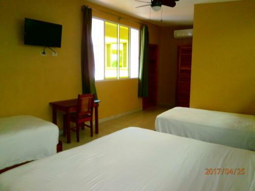 Bed & Breakfast Pizzeria Colisseo B & B