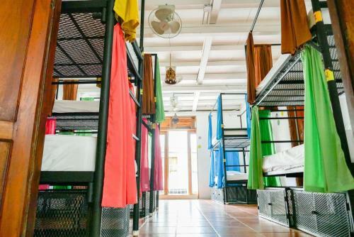 Casa Oro Eco Hostel