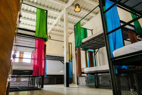 Casa Oro Eco Hostel